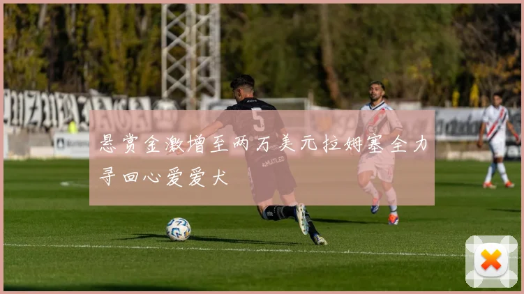 悬赏金激增至两万美元拉姆塞全力寻回心爱爱犬