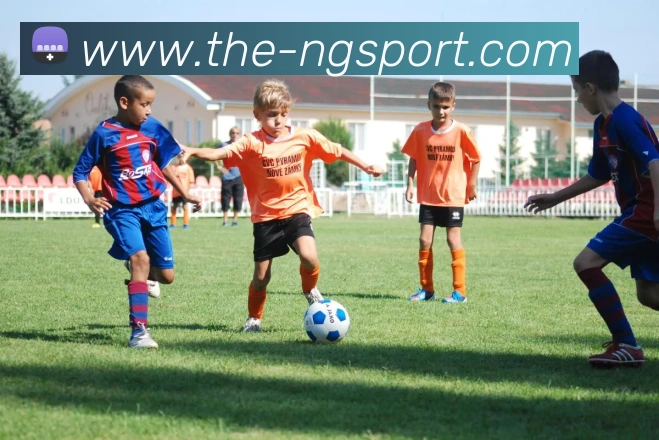 App Interface Preview